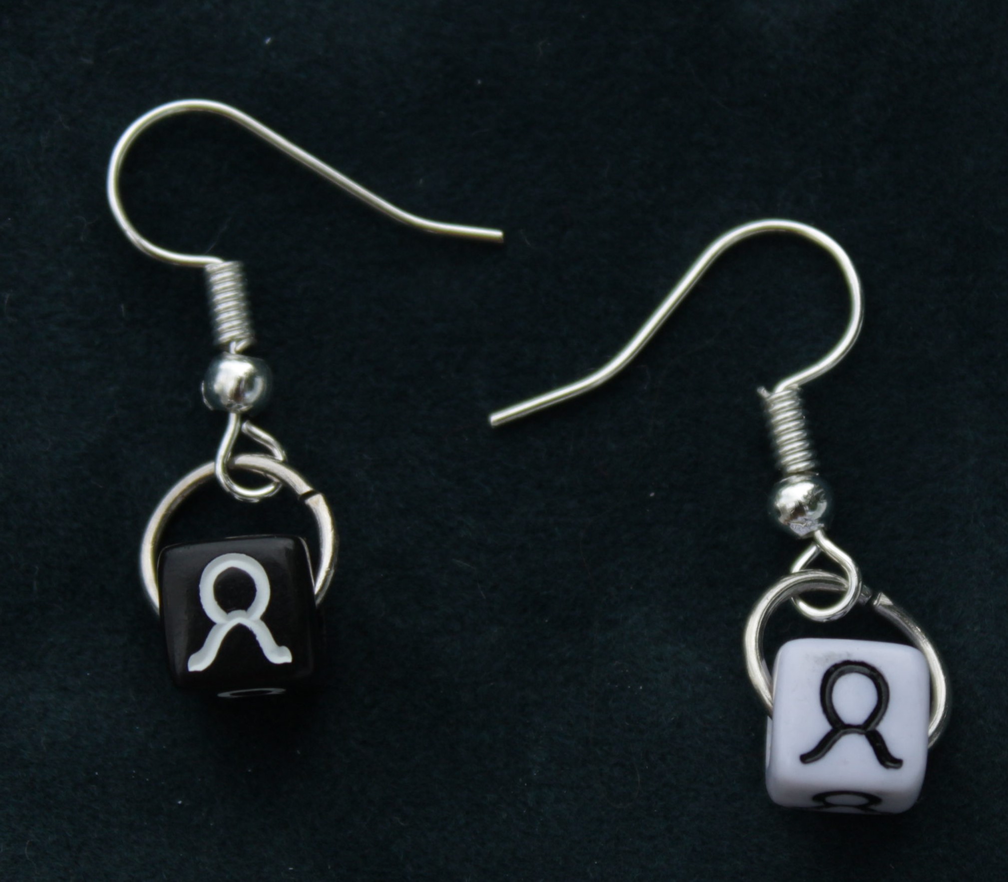Taurus Black & White Earrings3